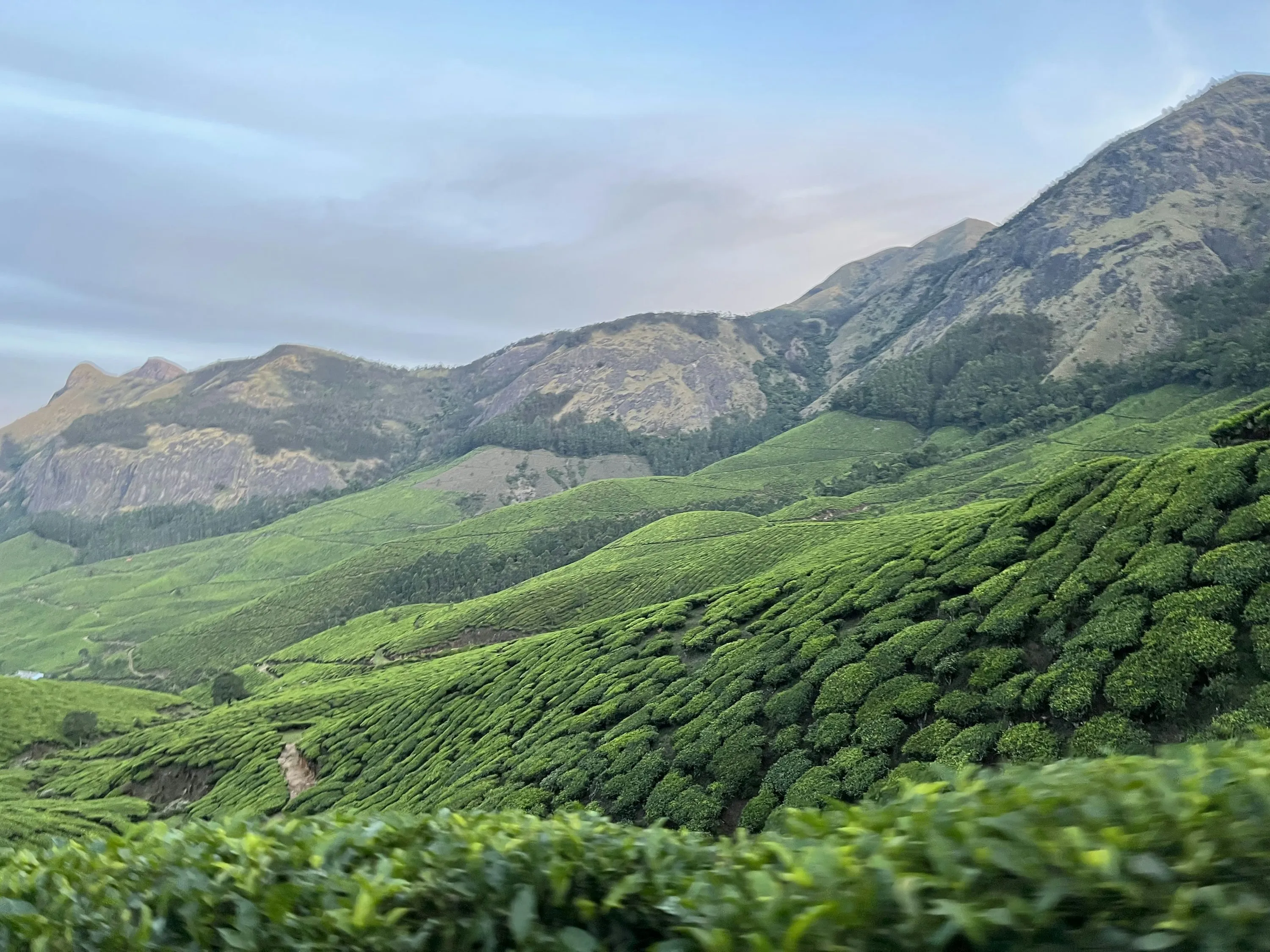 云南茶山全景风光 - 黑料不打烊